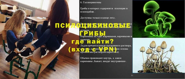 хмурый Горнозаводск
